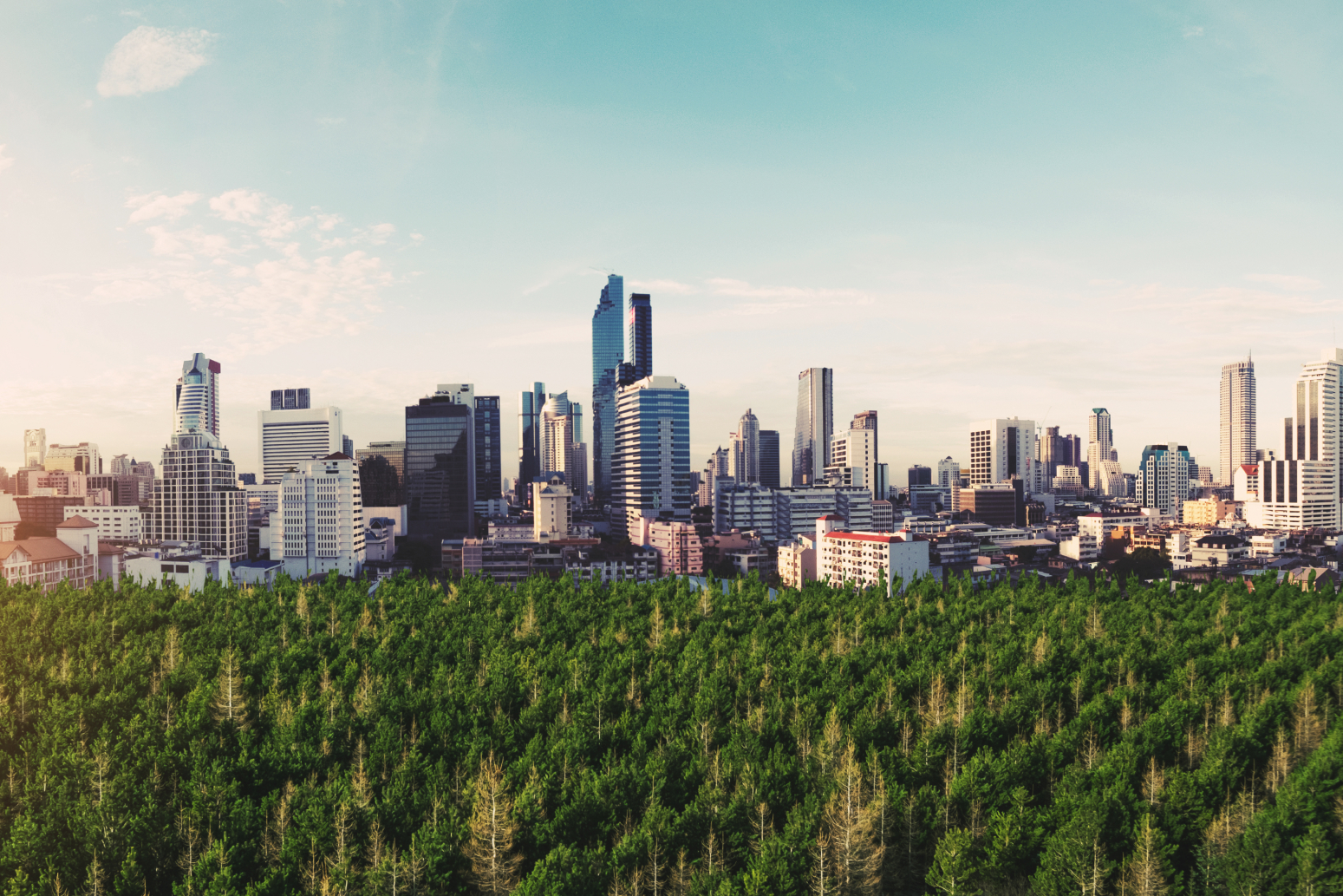 A city's skyline with a lot of trees at the bottom of the image with a lot of green