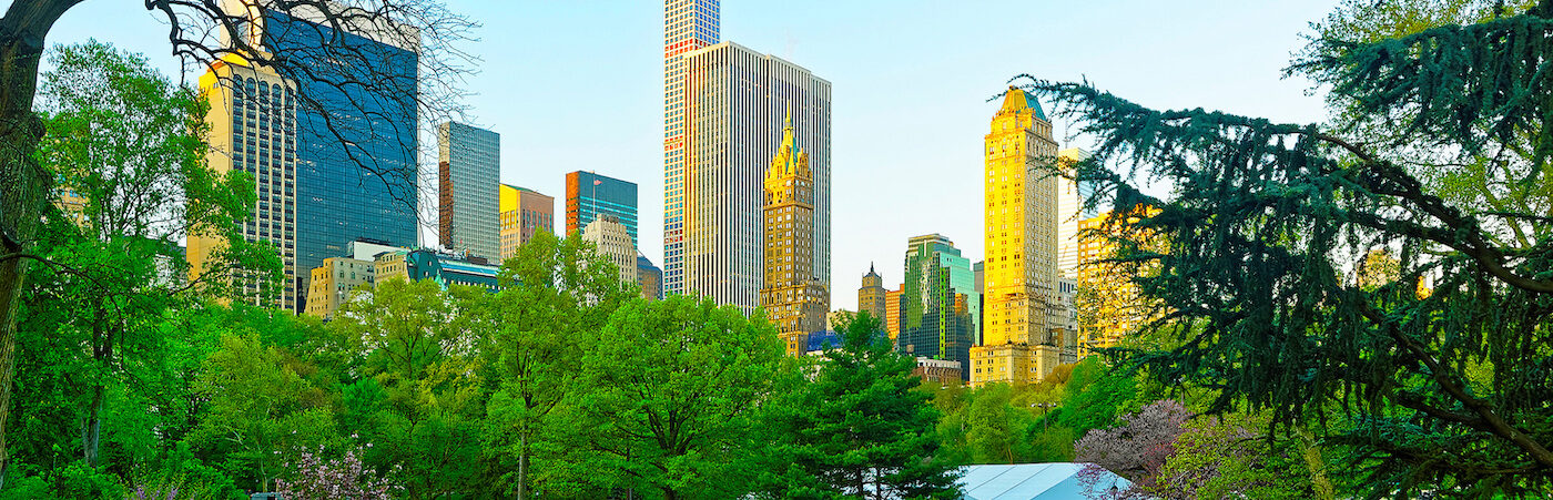  An image of a city's skyline with a lot of green trees and a display of 