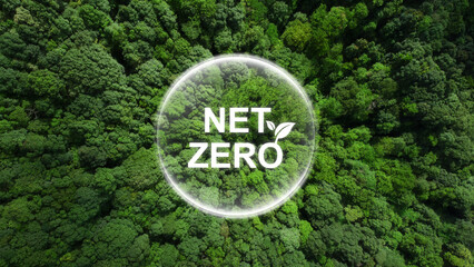 Atrius shares information about how to get to get your company to zero net emissions.