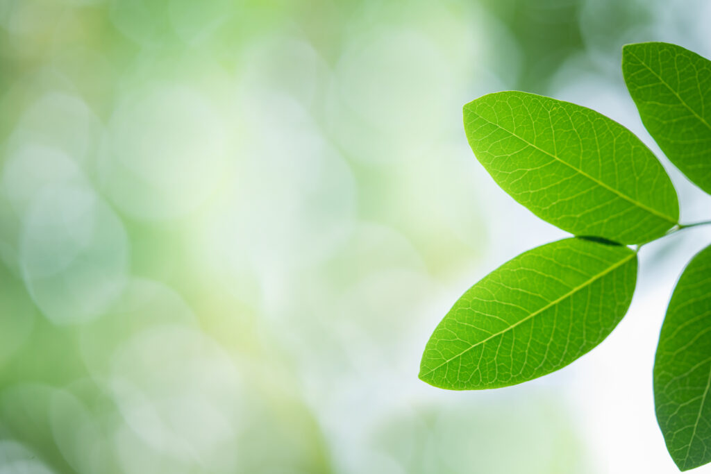 Sustainability in Higher Education Atrius