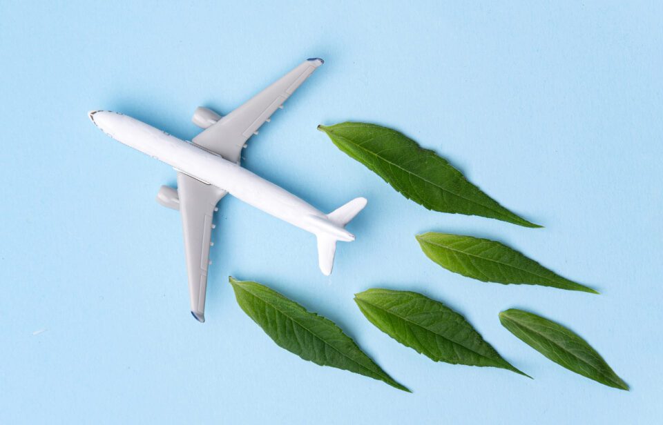 Blue background with white airplane flying with green leaves coming from the plane